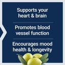 life-extension-super-omega-3-epa-dha-fish-oil-sesame-lignans-olive-extract-heart-health-brain-health-inflammation-management-gluten-free-non-gmo-120-softgels-04-bd37a9b491ba351a5d556225e31995ce.jpg