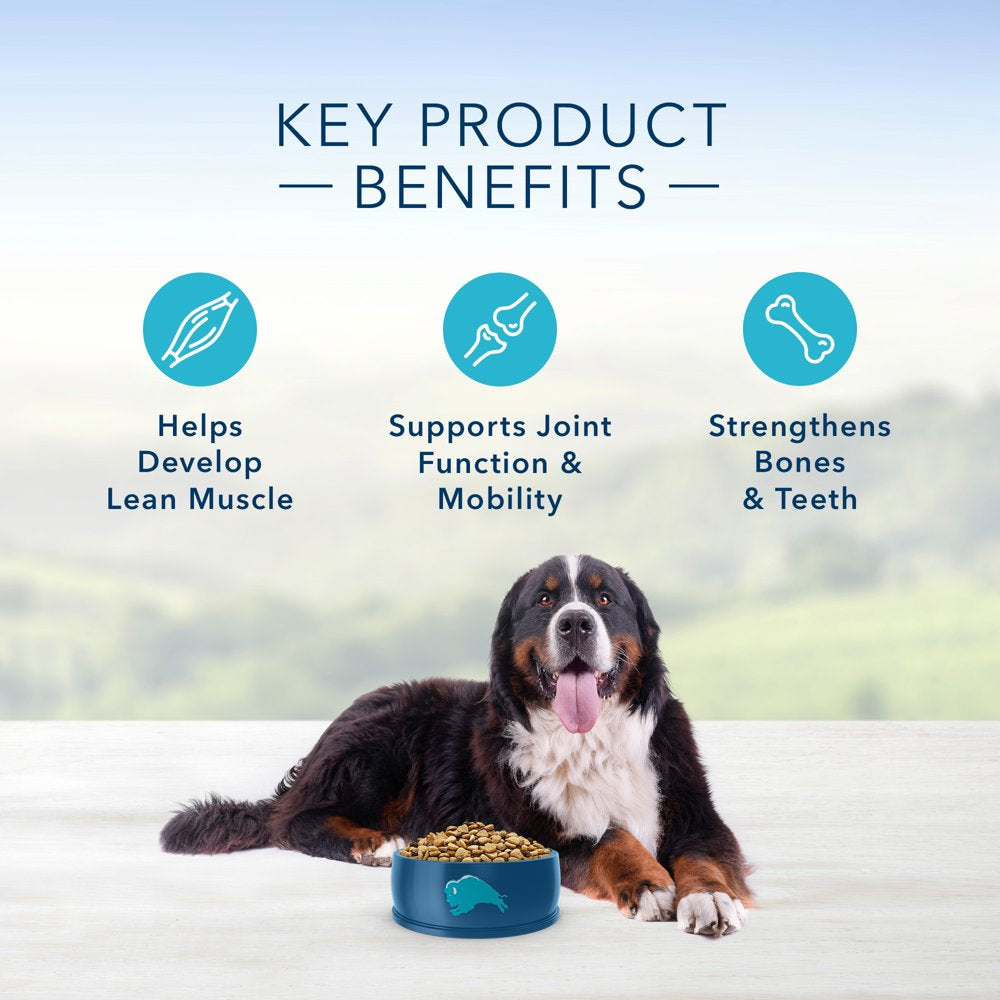 blue-buffalo-life-protection-formula-large-breed-chicken-and-brown-rice-dry-dog-food-for-adult-dogs-whole-grain-30-lb-bag-04-2ec1ac8c6872e3c269827a9c15b183aa.jpg