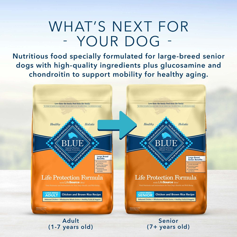 blue-buffalo-life-protection-formula-large-breed-chicken-and-brown-rice-dry-dog-food-for-adult-dogs-whole-grain-30-lb-bag-07-b2837b51b93110c21c276a3bfed17a06.jpg
