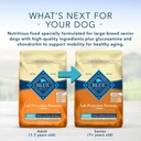 blue-buffalo-life-protection-formula-large-breed-chicken-and-brown-rice-dry-dog-food-for-adult-dogs-whole-grain-30-lb-bag-07-b2837b51b93110c21c276a3bfed17a06.jpg