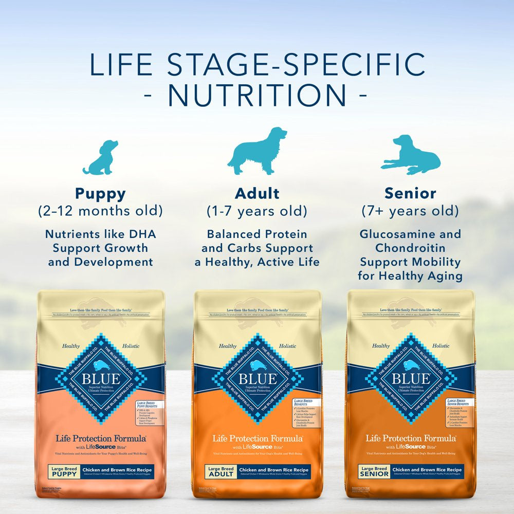 blue-buffalo-life-protection-formula-large-breed-chicken-and-brown-rice-dry-dog-food-for-adult-dogs-whole-grain-30-lb-bag-08-1f5401874bb29ef9b86318ba2fefab04.jpg