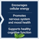 life-extension-acetyl-l-carnitine-acetyl-l-carnitine-vitamin-c-brain-mood-nerve-health-cellular-energy-3-month-supply-gluten-free-non-gmo-vegetarian-100-capsules-04-e8da699dcb60f0c492f93c4637a2e557.jpg