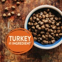wellness-core-natural-grain-free-dry-dog-food-reduced-fat-26-pound-bag-05-35419ceeda61a81b1673cfbf48c7560e.jpg