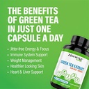 zenwise-green-tea-extract-with-egcg-vitamin-c-antioxidant-immune-supplement-vegan-skin-heart-support-brain-health-memory-boost-120-count-06-db6def3f724f47cc68da32384693bfeb.jpg