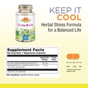 natures-life-gotu-kola-340mg-brain-mood-support-supplement-healthy-cognitive-function-memory-vitality-formula-non-gmo-100-veg-caps-02-19adbeafcc4dd873e7242b9cb391e2d5.jpg