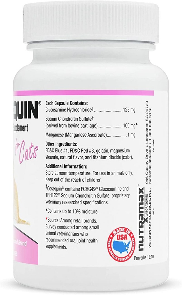 cosequin-cats-capsules-with-glucosamine-chondroitin-80ct-02-97032b0a772390513a2c74785c67f21d.jpg