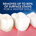 oral-b-pro-flex-stain-eraser-manual-toothbrush-medium-1-ct-05-cebfe18bc244370adf255807d9b1997b.jpg