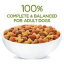 purina-beneful-healthy-weight-dry-dog-food-farm-raised-chicken-40-lb-bag-02-fea83b4f1901acaff8a157b59eab065b.jpg