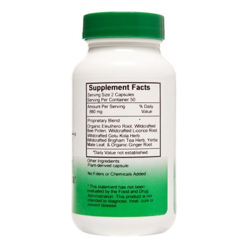 christophers-bee-power-energy-formula-100-ct-03-ca4103b36efc7d15923739b5f43bdd44.jpg