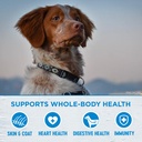 wellness-simple-natural-grain-free-limited-ingredient-dry-dog-food-small-breed-salmon-and-potato-recipe-10-5-pound-bag-02-1e1ea986362dfbe20b26563d944bbc24.jpg