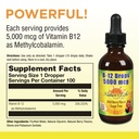 natures-life-b12-methlycobalamin-wildberry-2-fluid-ounce-02-bea232de80f6fe324856482afb470a23.jpg