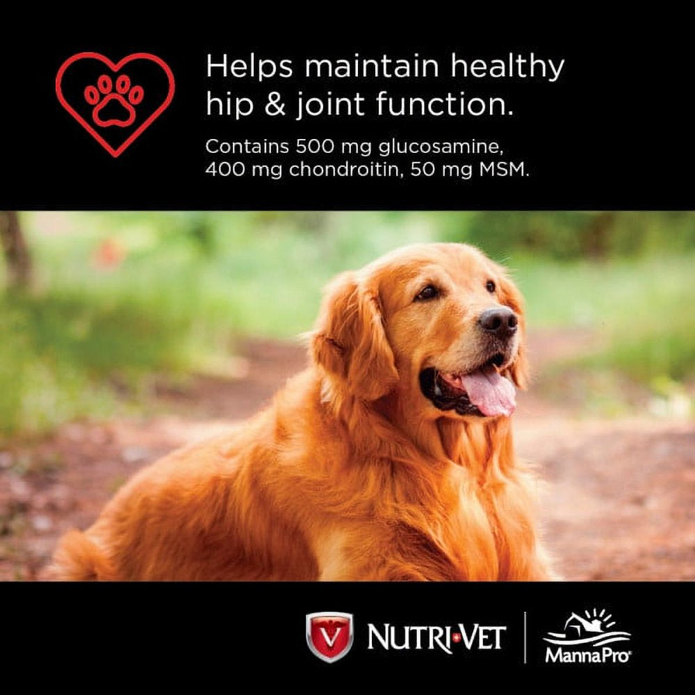 nutri-vet-hip-and-joint-chewables-for-dogs-advanced-strength-300-count-04-e4b705976e91f5a526ba9a76c5a49cf5.jpg
