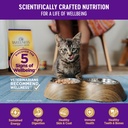 wellness-complete-health-natural-grain-free-wet-canned-cat-food-minced-tuna-entree-3-ounce-can-pack-of-24-02-f6d21c26c2c6df8f761cb78590f267c2.jpg