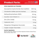 nutri-vet-hip-and-joint-chewables-for-dogs-advanced-strength-300-count-07-50f0ed67e754054072e01c942e7899cc.jpg