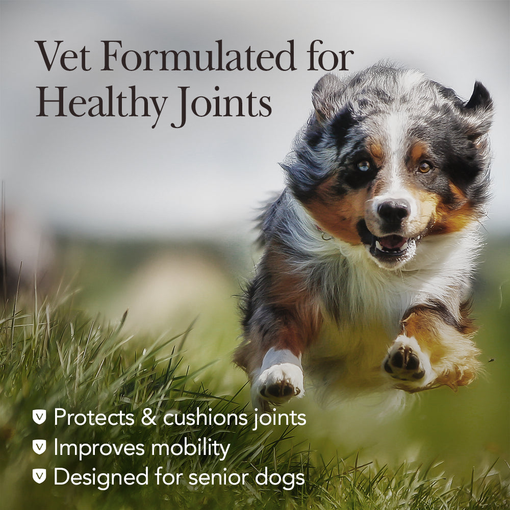 nutri-vet-hip-and-joint-chewables-for-dogs-advanced-strength-300-count-08-054e56143dd08ffab3d6a6bfa48cfcf9.jpg