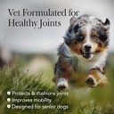 nutri-vet-hip-and-joint-chewables-for-dogs-advanced-strength-300-count-08-054e56143dd08ffab3d6a6bfa48cfcf9.jpg