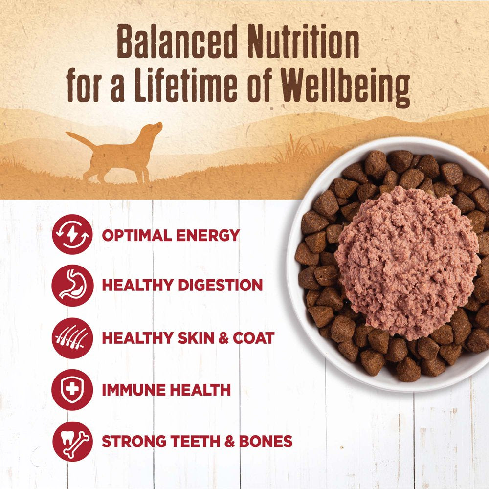 wellness-95-beef-natural-wet-grain-free-canned-dog-food-13-2-ounce-can-pack-of-12-02-f1bb75cec39d14bd0618c68816b94859.jpg