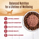 wellness-95-beef-natural-wet-grain-free-canned-dog-food-13-2-ounce-can-pack-of-12-02-f1bb75cec39d14bd0618c68816b94859.jpg
