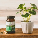 organic-india-liver-kidney-herbal-supplement-90-vegetarian-capsules-03-9f4fd9b996aa39d0ae1e9e46ebc302ca.jpg
