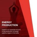 protocol-for-life-balance-ubiquinol-coq10-100-mg-60-softgels-08-9ccb4f8a72adc007f4d35c0794784caf.jpg