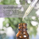 now-essential-oils-good-morning-sunshine-aromatherapy-blend-soothing-aromatherapy-scent-blend-of-pure-essential-oils-vegan-child-resistant-cap-1-ounce-06-e57e6b75a8d1ca4c993b5663ec283c2e_bd97a276-974a-4130-a831-c31d8b89db93.jpg