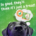 inner-paw-probiotic-chews-for-dogs-digestive-enzymes-diarrhea-bad-breath-gut-immune-health-probiotic-and-prebiotic-supplement-120-soft-chews-04-35af4192fcb3519127fe258cbabc3bbc.jpg