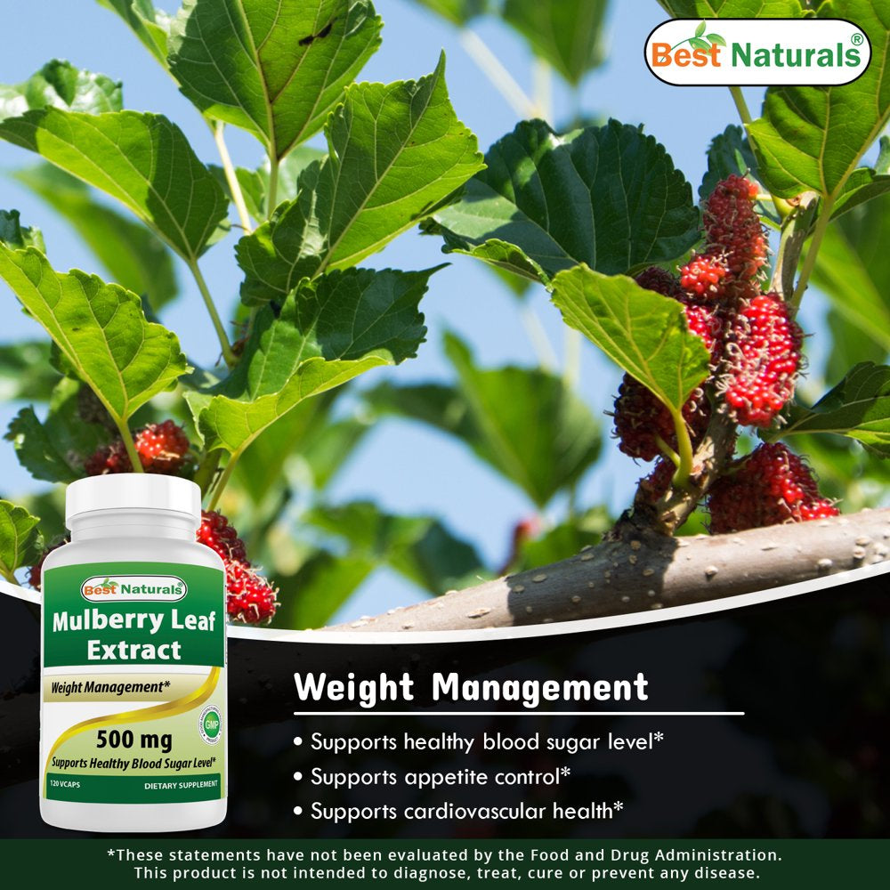 best-naturals-mulberry-leaf-extract-500-mg-120-count-04-b5065a5d0fe6896705942682b982dba2.jpg