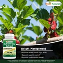 best-naturals-mulberry-leaf-extract-500-mg-120-count-04-b5065a5d0fe6896705942682b982dba2.jpg
