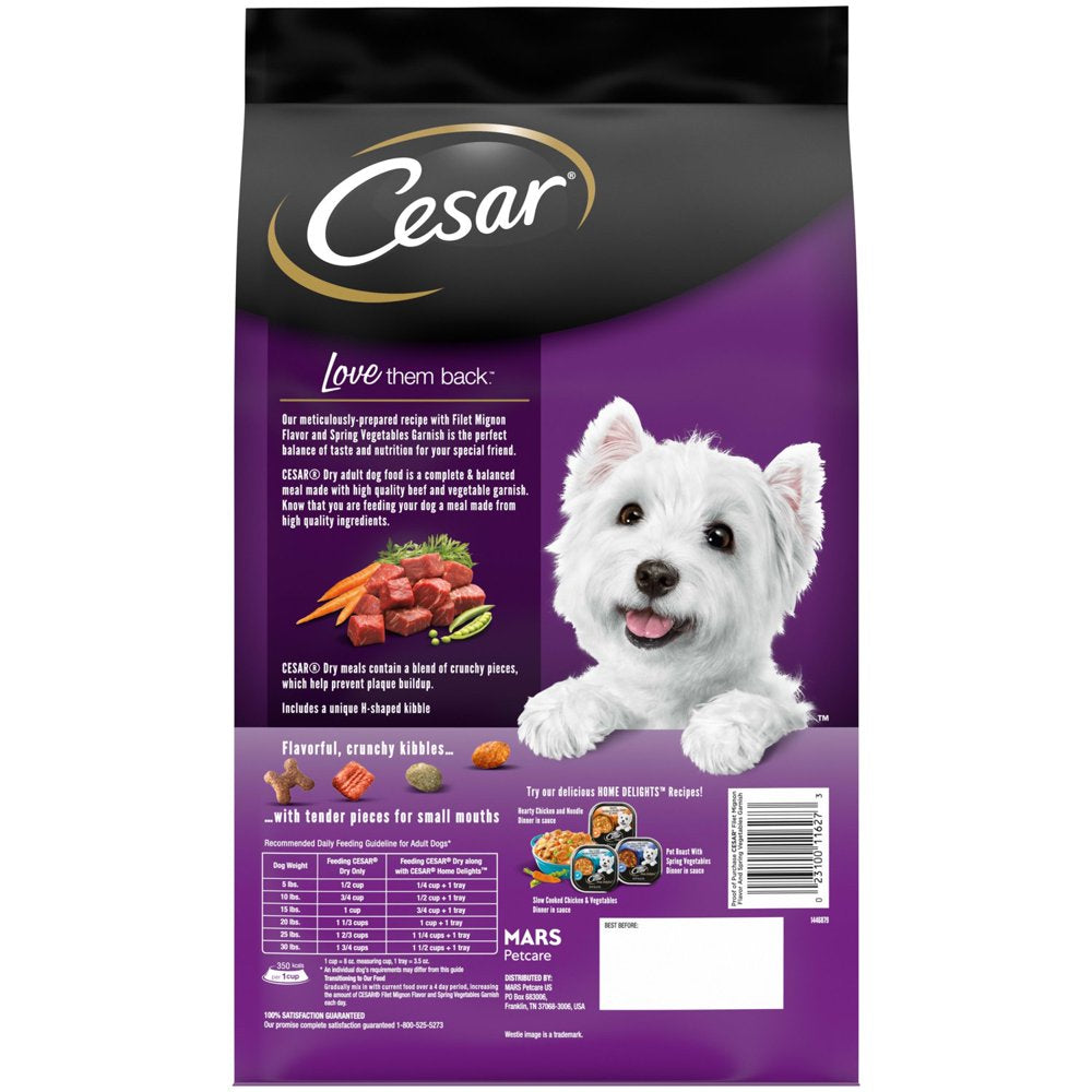 cesar-filet-mignon-flavor-and-spring-vegetables-dry-dog-food-5-lb-bag-02-07f3227f0bcd80f7e3d63bef019b639d.jpg