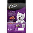 cesar-filet-mignon-flavor-and-spring-vegetables-dry-dog-food-5-lb-bag-02-07f3227f0bcd80f7e3d63bef019b639d.jpg