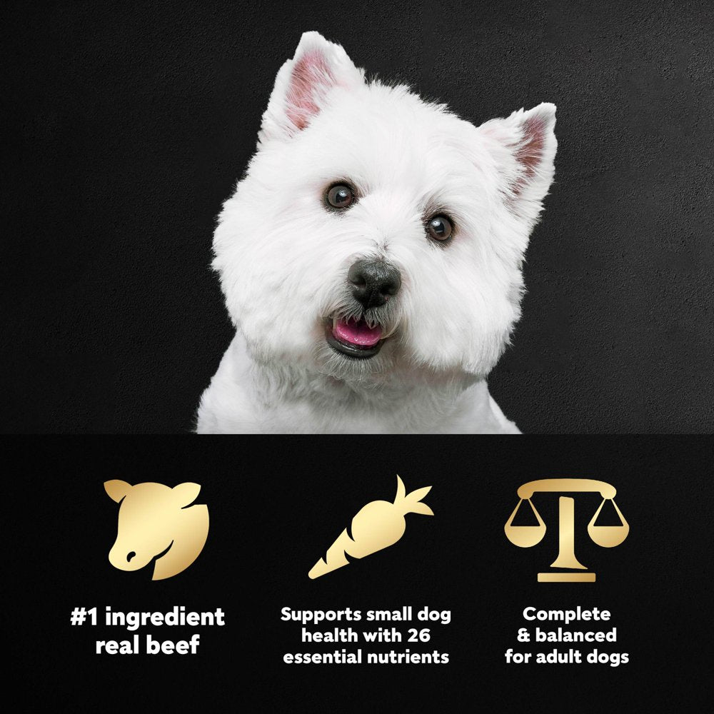 cesar-filet-mignon-flavor-and-spring-vegetables-dry-dog-food-5-lb-bag-04-f39e1d1f96d8213e564384435071cb3d.jpg