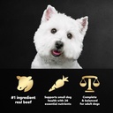 cesar-filet-mignon-flavor-and-spring-vegetables-dry-dog-food-5-lb-bag-04-f39e1d1f96d8213e564384435071cb3d.jpg