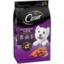 cesar-filet-mignon-flavor-and-spring-vegetables-dry-dog-food-5-lb-bag-05-c953ffa47dd4138284dd39ccdbd8ea28.jpg