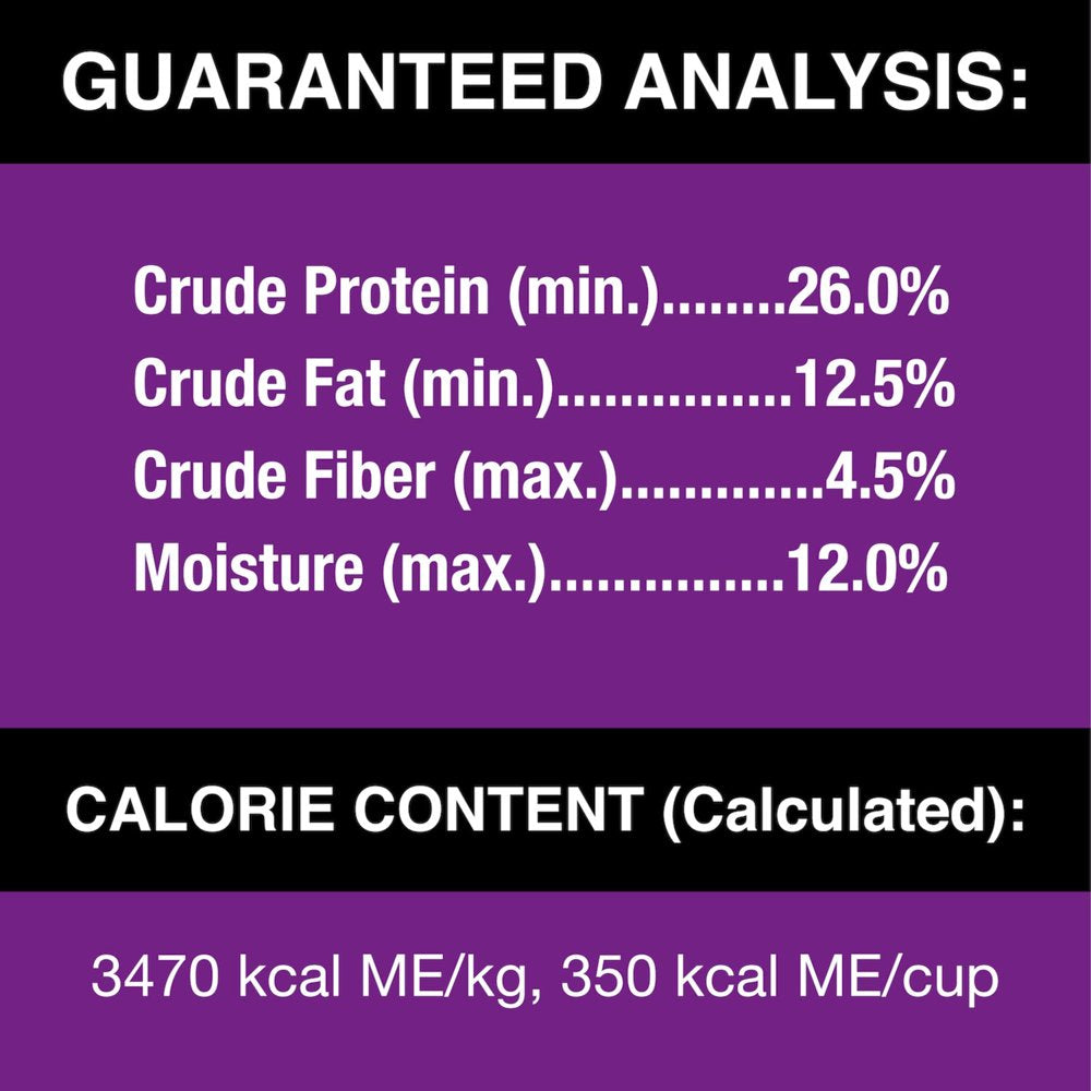 cesar-filet-mignon-flavor-and-spring-vegetables-dry-dog-food-5-lb-bag-06-4e55d984d02fd00598b8c5c8b60214b8.jpg