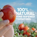 hunts-garlic-oregano-diced-tomatoes-14-5-oz-can-04-d5f46c9ad3f9165714829cfa87df3241.jpg