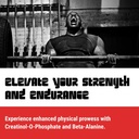 massive-dynamics-pre-workout-strength-surge-maximized-endurance-muscle-growth-performance-boost-for-explosive-energy-focus-02-2f618297ff6b7f5fb9694d45ef07693d.jpg