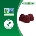 spring-valley-non-gmo-ksm-66-ashwagandha-vegetarian-gummies-cherry-60-count-03-ec183e261c8a1e1e0a5499ab115f8261.jpg