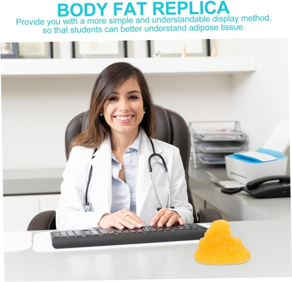 alasum-1pc-fat-model-learning-anatomical-model-5-fat-1-pound-fat-and-muscle-demonstration-device-demonstration-model-class-model-for-sturdy-school-body-fat-replica-fitness-sports-tpe-02-3f33cf14b8f19c2208b8f27b0412caab.jpg