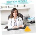 toyvian-1pc-fat-model-human-body-fat-anatomical-model-demonstration-model-school-body-fat-1lb-of-fat-visual-1lb-fat-5-fat-body-fat-replica-1-pound-demonstration-device-tpe-fitness-sports-04-a95c6a755da590f5272b3b9f0b0601c1.jpg