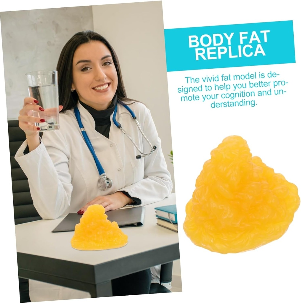 toyvian-1pc-fat-model-human-body-fat-anatomical-model-demonstration-model-school-body-fat-1lb-of-fat-visual-1lb-fat-5-fat-body-fat-replica-1-pound-demonstration-device-tpe-fitness-sports-06-7f0c785e346855b807c9e6dd7da96bfa.jpg