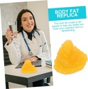 toyvian-1pc-fat-model-human-body-fat-anatomical-model-demonstration-model-school-body-fat-1lb-of-fat-visual-1lb-fat-5-fat-body-fat-replica-1-pound-demonstration-device-tpe-fitness-sports-06-7f0c785e346855b807c9e6dd7da96bfa.jpg