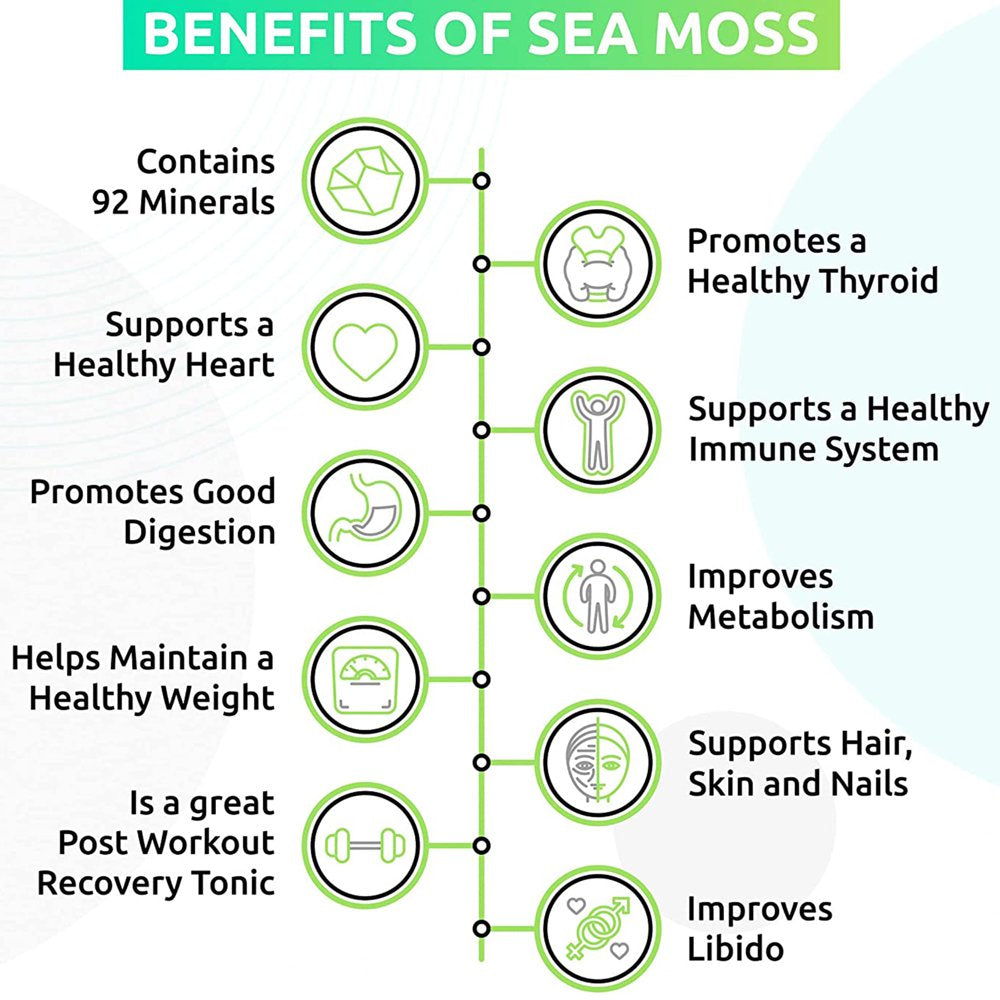trueseamoss-wildcrafted-irish-sea-moss-gel-nutritious-raw-seamoss-rich-in-minerals-proteins-vitamins-antioxidant-health-supplement-vegan-friendly-made-in-usa-apple-1-03-005d6c202b1c7540d39b4ab851a330b4.jpg