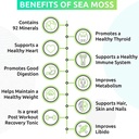 trueseamoss-wildcrafted-irish-sea-moss-gel-nutritious-raw-seamoss-rich-in-minerals-proteins-vitamins-antioxidant-health-supplement-vegan-friendly-made-in-usa-apple-1-03-005d6c202b1c7540d39b4ab851a330b4.jpg