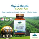 cranberry-d-mannose-capsules-1000mg-kosher-vegan-with-cranberry-concentrate-04-7ce001c82101528ab977ffe2b9105e09.jpg