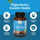 nature-s-craft-ceylon-cinnamon-supplement-1000mg-per-serving-organic-ceylon-cinnamon-powder-memory-supplement-for-brain-support-60ct-tablets-04-2845a1e38ea472fc569e5b1339b866eb.jpg