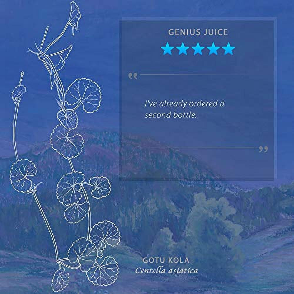 wishgarden-herbs-genius-juice-herbal-mental-clarity-tincture-and-brain-booster-supplement-with-gotu-kola-and-gingko-leaf-promotes-brain-clarity-and-focus-4-ounce-02-308c8564574267875259cf9b8d0e809e.jpg