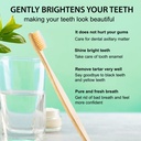 hurt-no-or-teeth-for-natural-coconuts-on-teeth-powder-whitener-charcoal-enamels-gums-activated-tooth-care-tooth-care-a-05-797d038d401abd2627c857315ccefe9f.jpg