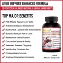 90-capsule-fatty-liver-detox-herbal-supplement-cleanse-artichoke-leaf-04-b0d90f51aef81815d81e3f39cf57c58a.jpg