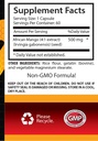 african-mango-extract-pills-african-mango-extract-500-appetite-suppressant-for-men-fat-burner-pills-energy-supplements-organic-immune-support-for-both-mood-booster-1-bottle-60-capsules-05-a90ef77d14eb47715361067f43519d1c_95d5200c-16d4-4001-ba0a-0ffcf1b74fd6.jpg