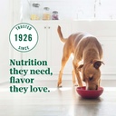 nutro-ultra-adult-grain-free-wet-dog-food-chicken-lamb-whitefish-trio-12-3-5-oz-trays-11-3bdd423eabf7685a3a9b5d55d4640677.jpg